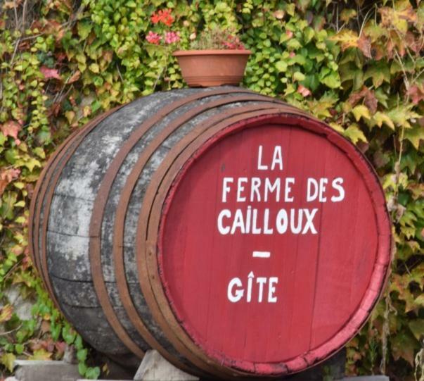La Ferme Des Cailloux Sassay Exterior foto
